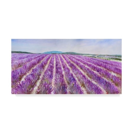 Li Bo 'Lavender 5' Canvas Art,24x47